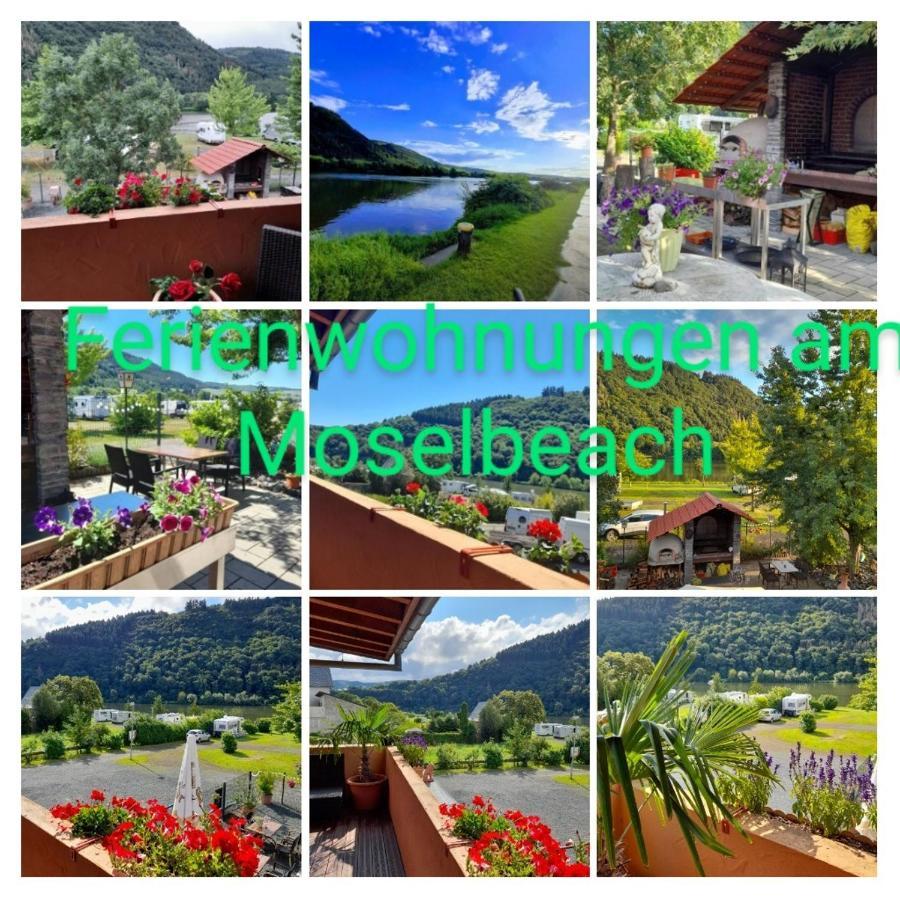 Ferienwohnungen Am Moselbeach Mehring  Ngoại thất bức ảnh